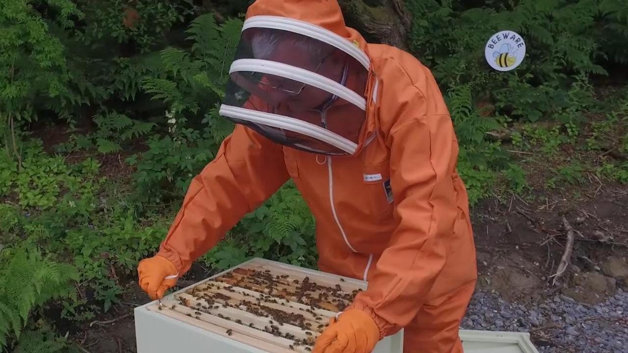 Villa The Bee Pods Rossnowlagh Esterno foto